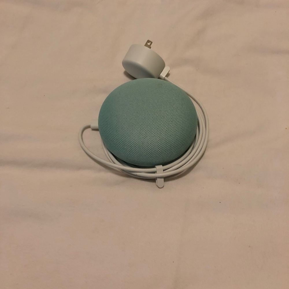 Teal Google home mini